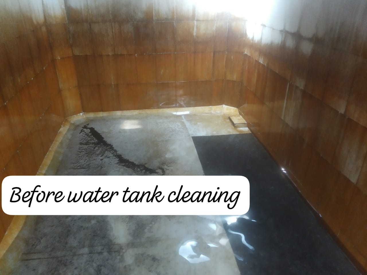 Before Cleaning